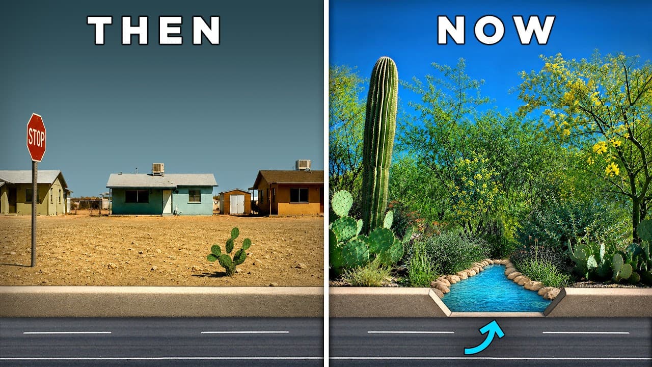Then-and-now split photo of an Arizona street: a barren, dry front yard (left) and the same block transformed with a rainwater-fed curb channel and lush desert vegetation (right) after neighbors adopted Lancaster’s rainwater-collection method.