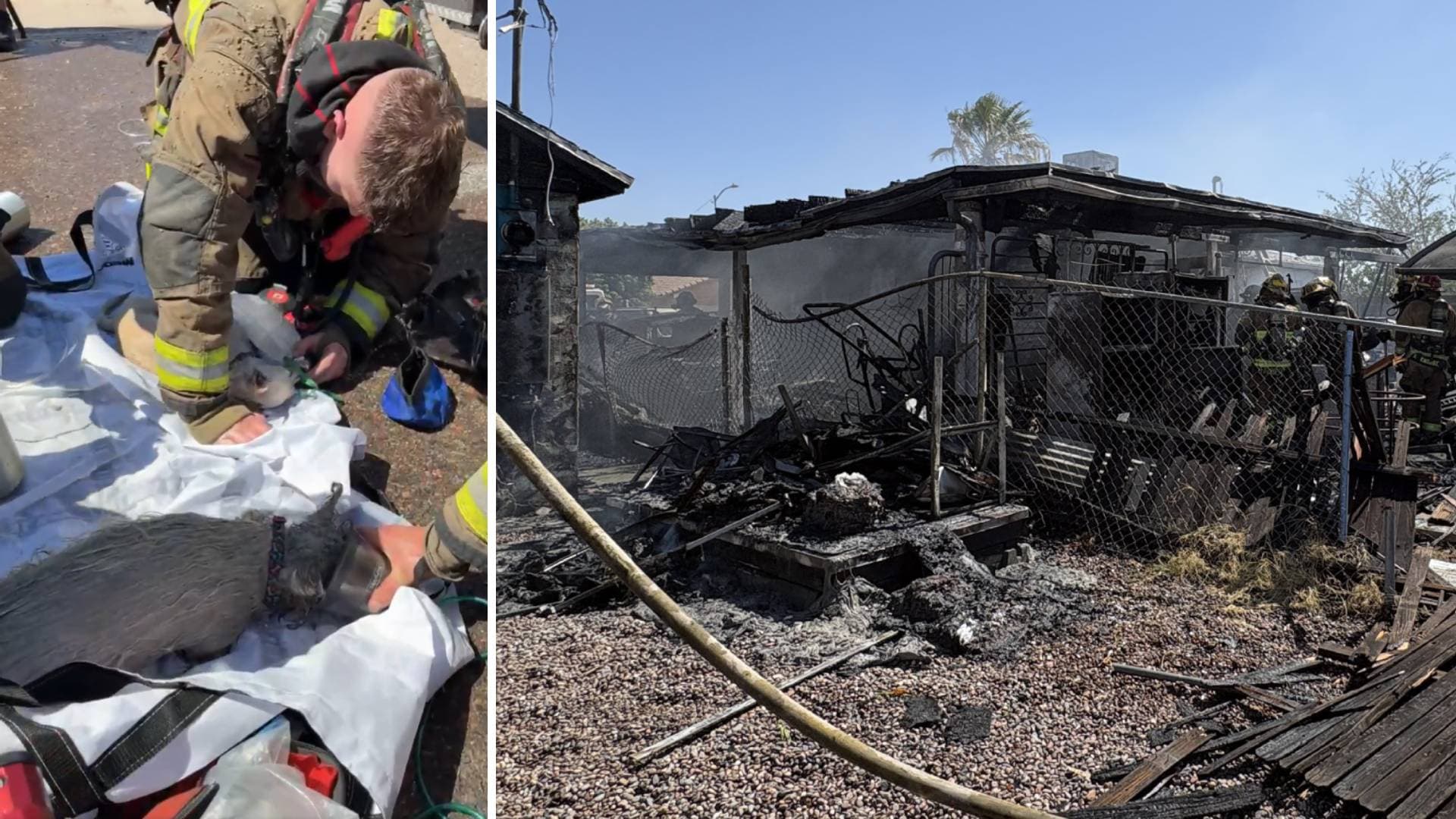 Firefighters treat a rescued dog while crews inspect the charred remains of a home after a double house fire near Phoenix Sky Harbor, where two dogs were pulled to safety.