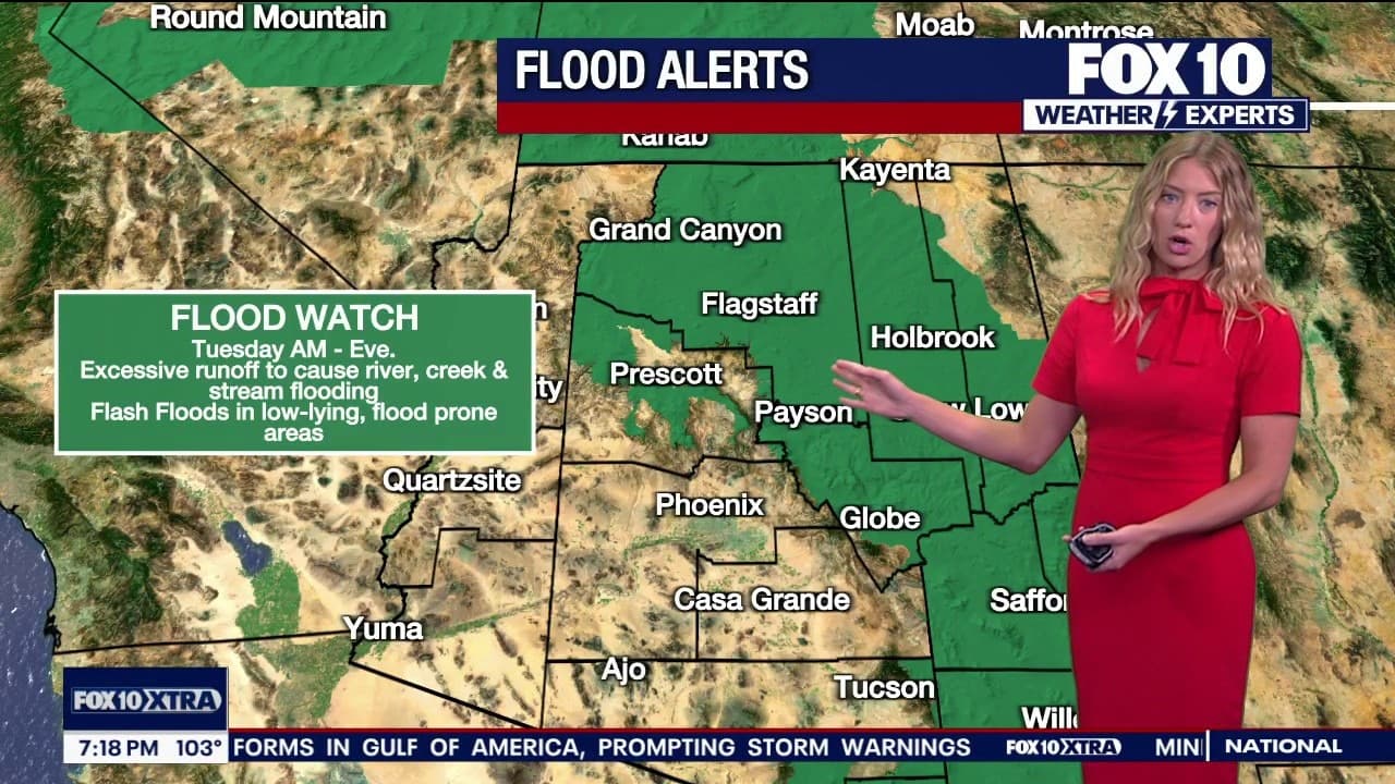 FOX10 weather map showing a Flood Watch highlighted over parts of Arizona as a presenter gestures to areas at risk of excessive runoff and flash flooding.