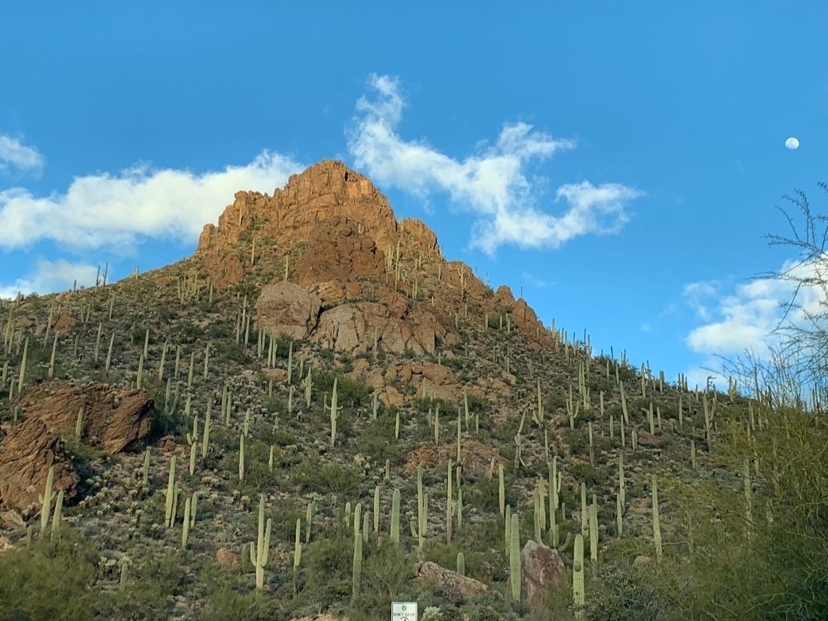 Saguaro‑covered Tucson foothills under clouds with the moon visible as the first monsoon moisture arrives amid an ongoing extreme heat warning.