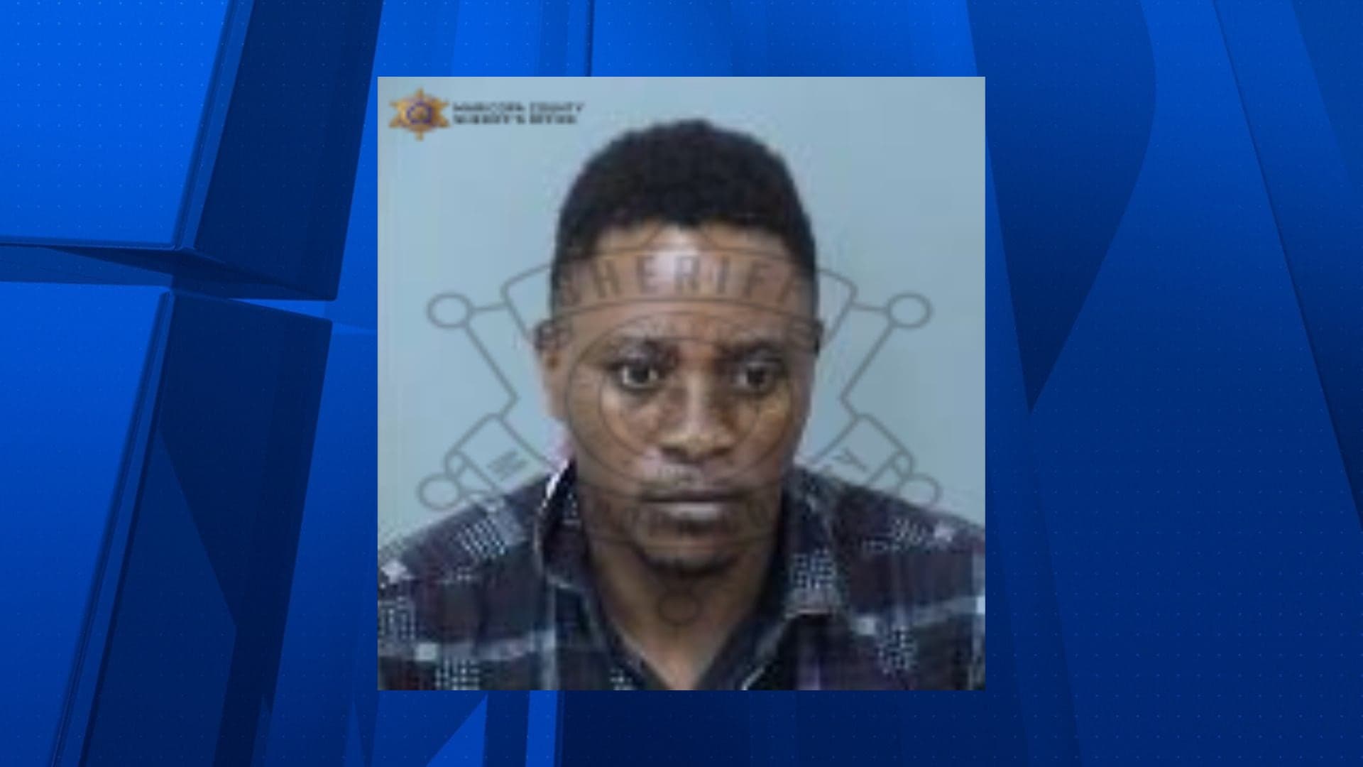 Booking photo released by the Maricopa County Sheriff's Office of the person arrested in connection with a west Phoenix hit-and-run.