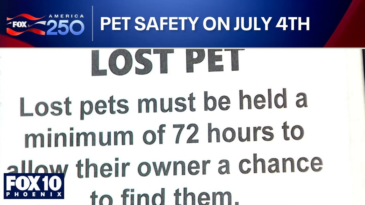 Broadcast graphic advising pet owners that lost pets 'must be held a minimum of 72 hours' at shelters — useful guidance for finding spooked animals after Independence Day fireworks.