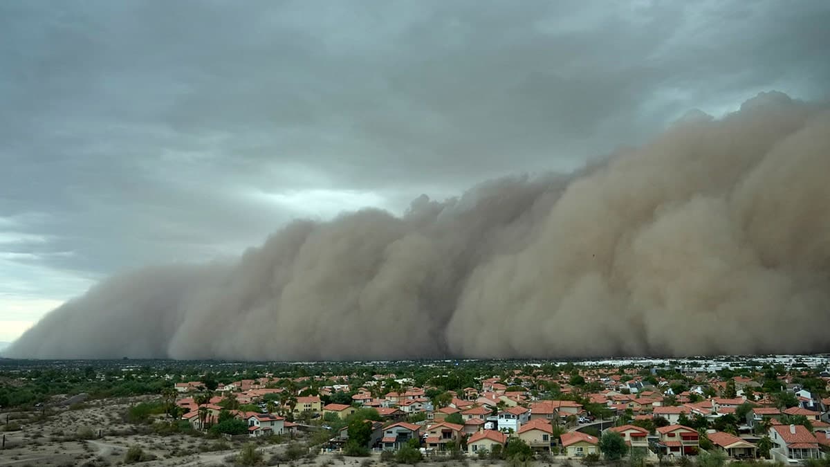 A towering wall of dust sweeps across a Phoenix suburb, engulfing homes and drastically reducing visibility during the unprecedented consecutive haboobs.