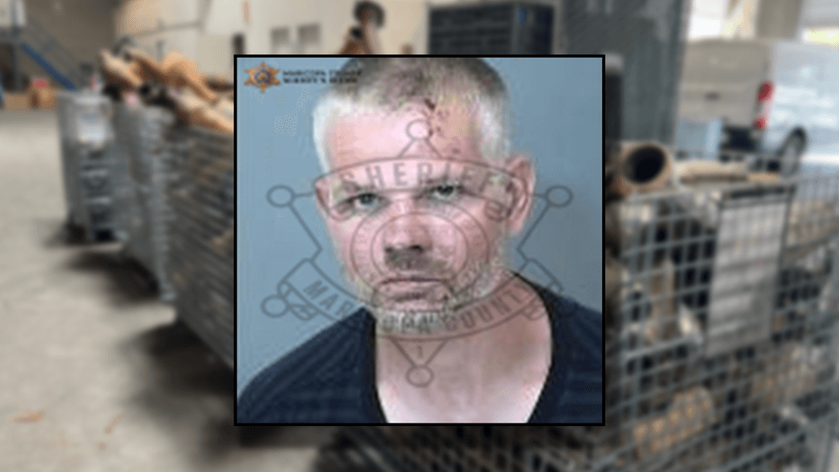 Mugshot released by Maricopa County authorities of the person arrested following a Mesa foot pursuit and stun-gun deployment; police recovered tools and a hidden handgun.