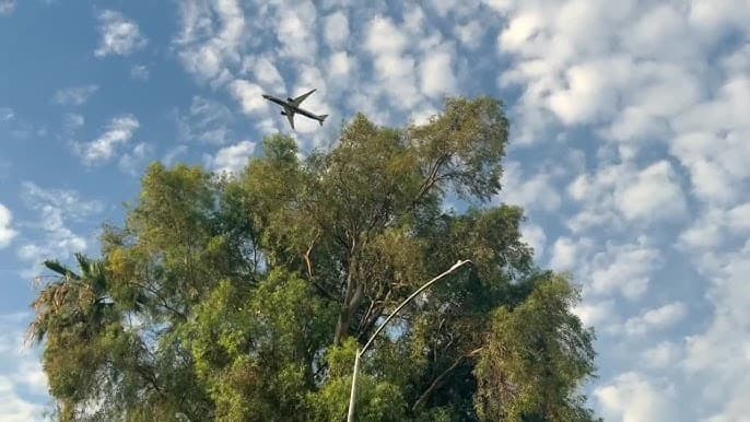 A commercial jet passes low over trees above a residential street near Sloan Park, highlighting West Mesa residents' complaints about persistent aircraft noise as the FAA stalls on flight-path changes.