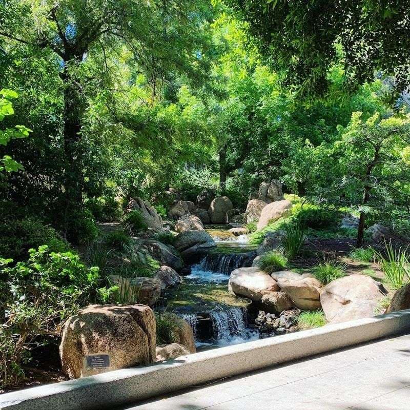 Shaded rock-lined stream and tiered waterfall in the 3.5-acre Arizona garden, capturing the storybook atmosphere described in the article.